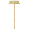 CEPILLO IXTLE MAQ BYP