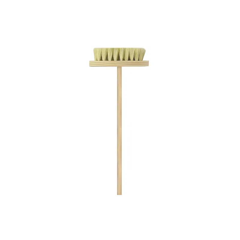 CEPILLO IXTLE MAQ BYP